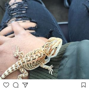 Meet your Posher, Aelicia